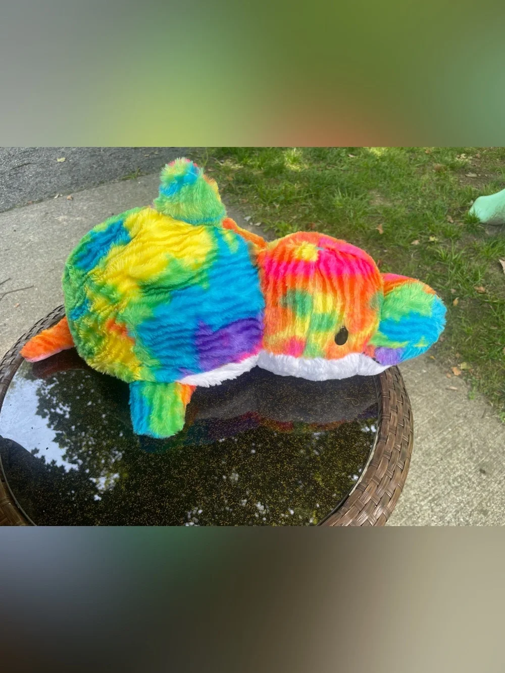 Rainbow Plush Toy for Small Pets - Multicolor